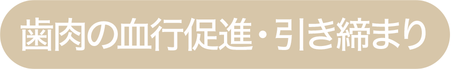 歯肉の血行促進・引き締まり